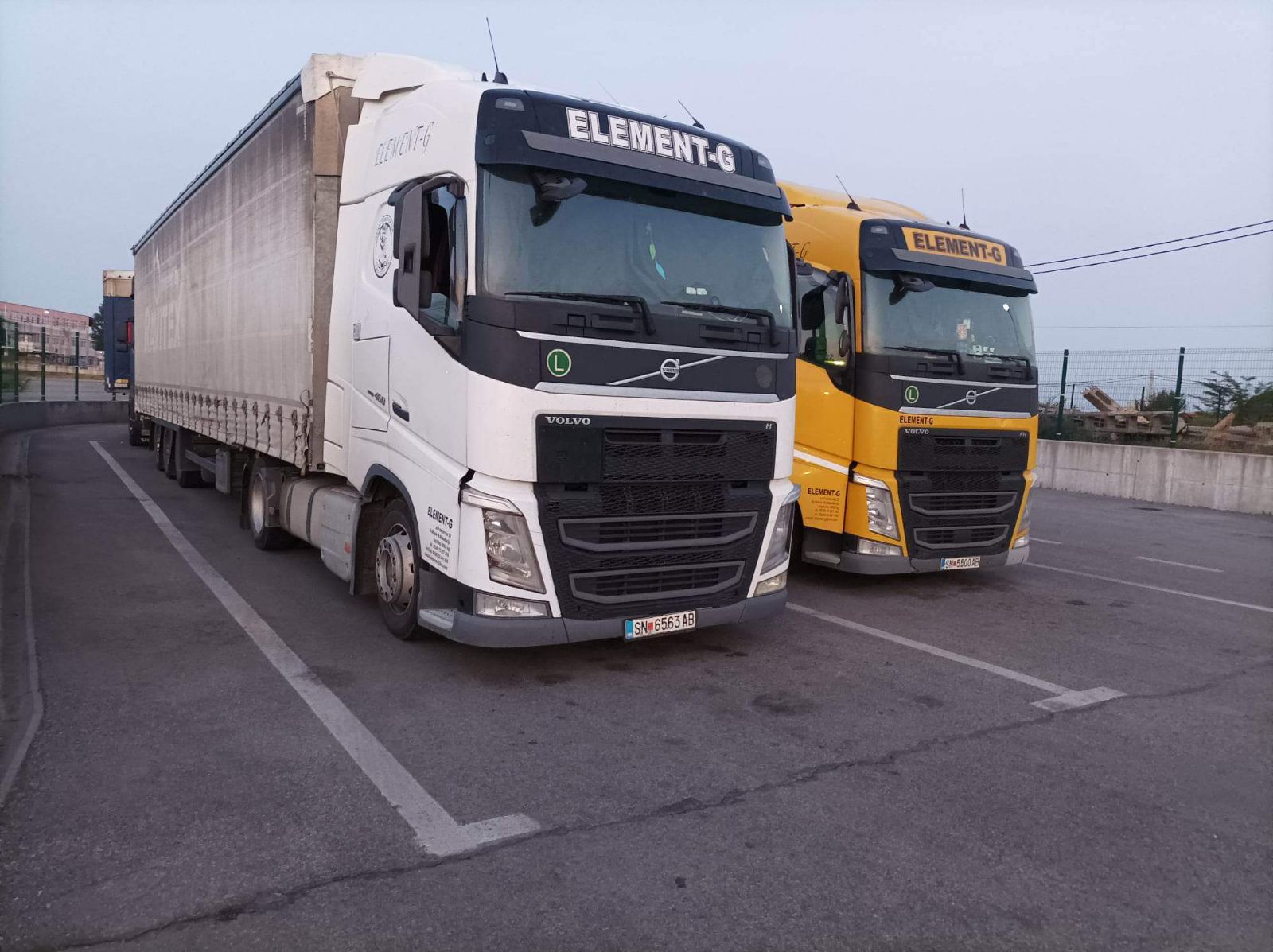 Granola with cherries and strawberries